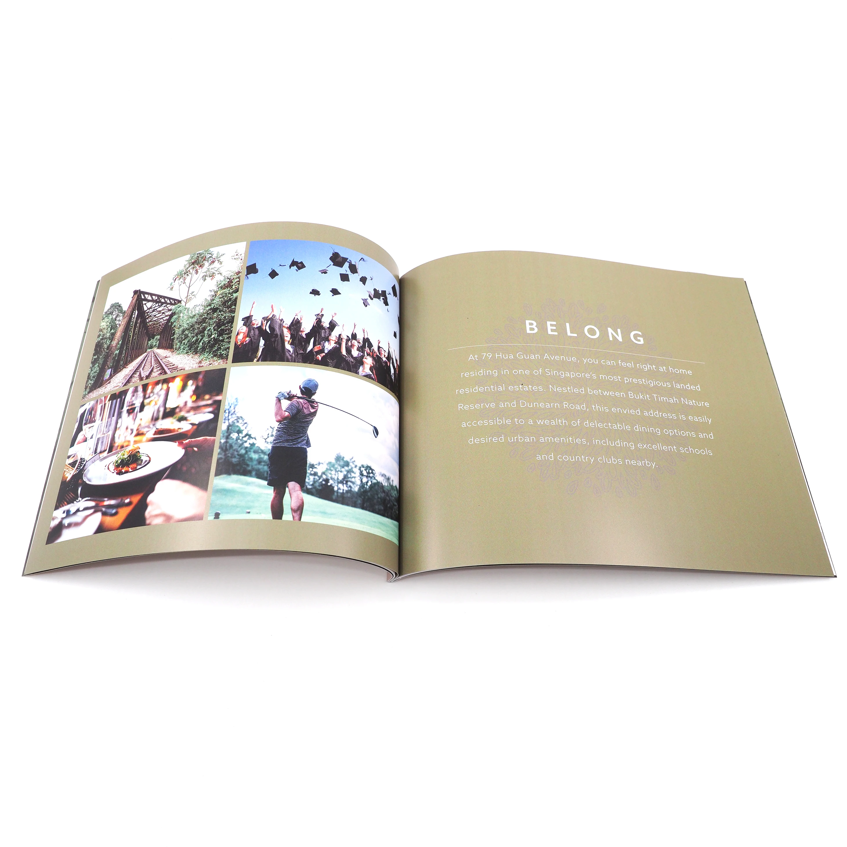 Тиснение цифровой печати многоцветный идеальный связывающий журнал портфель брошюра