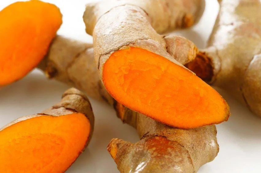The most competitive price fresh tumeric in Viet Nam - Whatsapp: +84-845-639-639