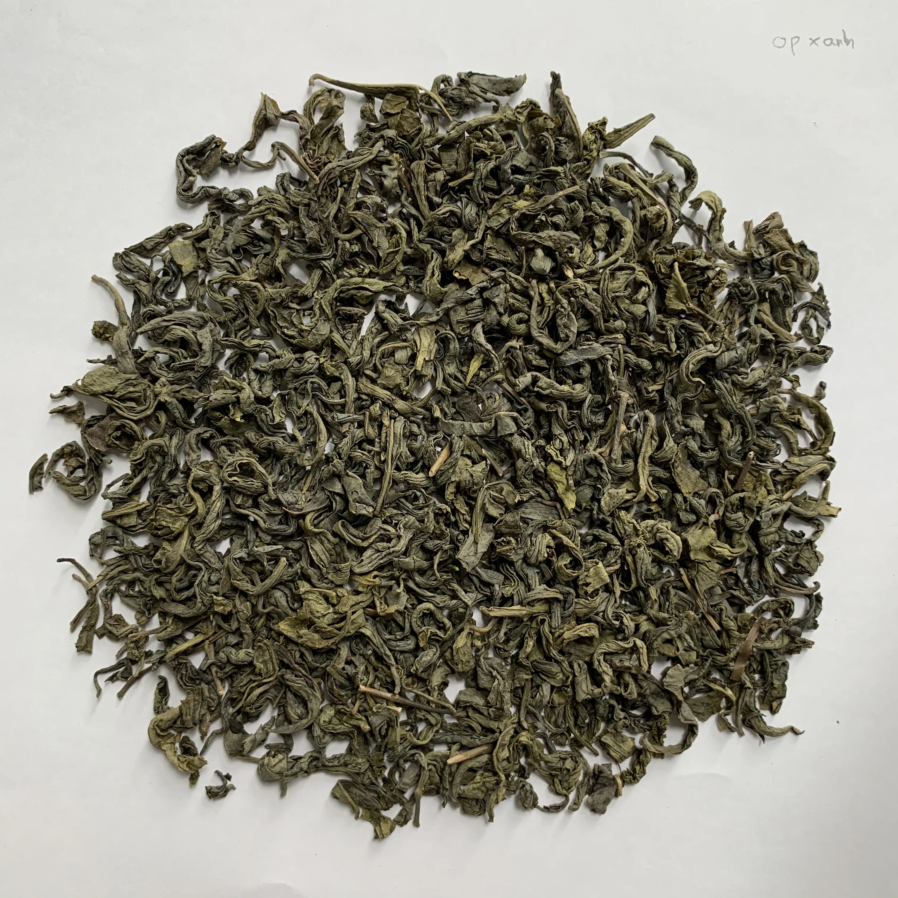 OP Green Tea Best Price High Quality Original VietNam