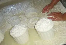 Made in Italy Food , cheeses , sheep cheese , with spicy