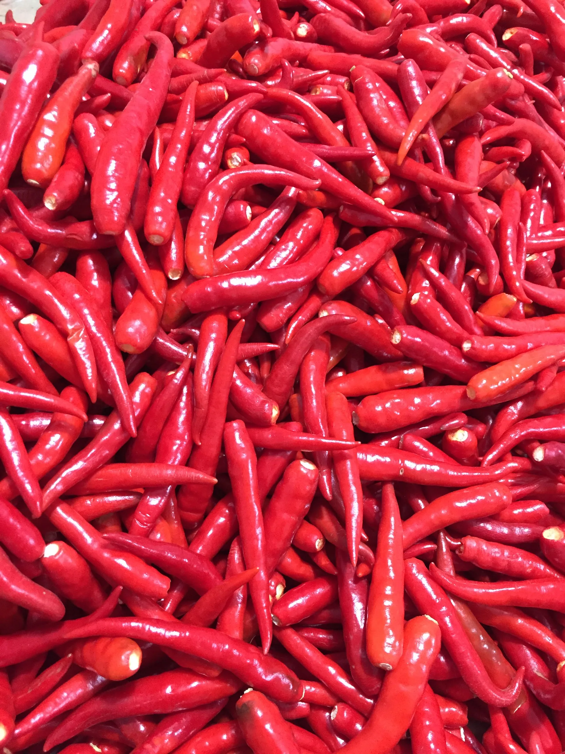 TOP cheap price FROM VIETNAM: BEAUTIFUL FROZEN GREEN CHILLI: HOT AND NATURAL SPICY, BEST FOR SPICY FOOD