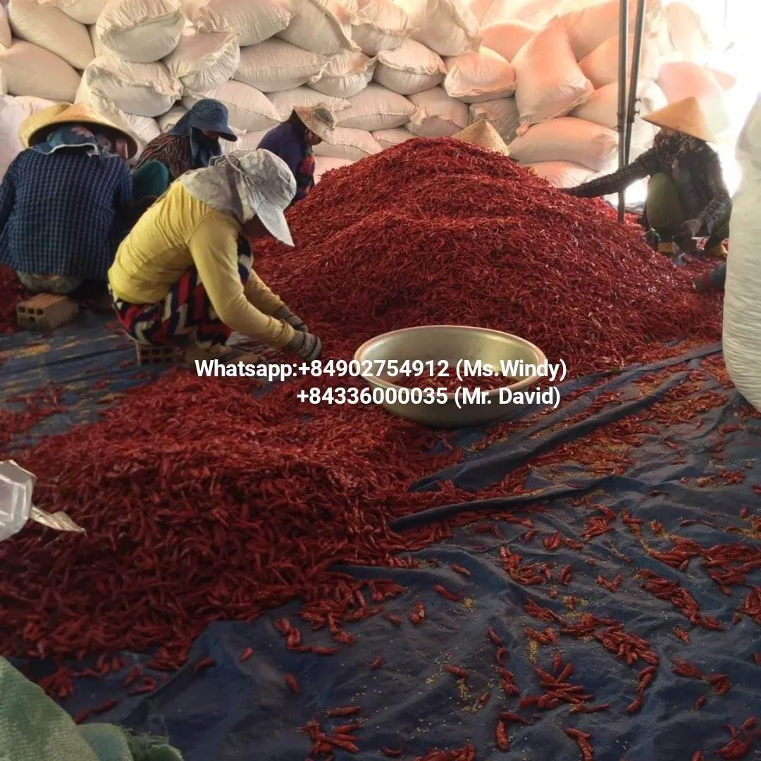High quality and good price wholesale dried chili with export standards from Vietnam
