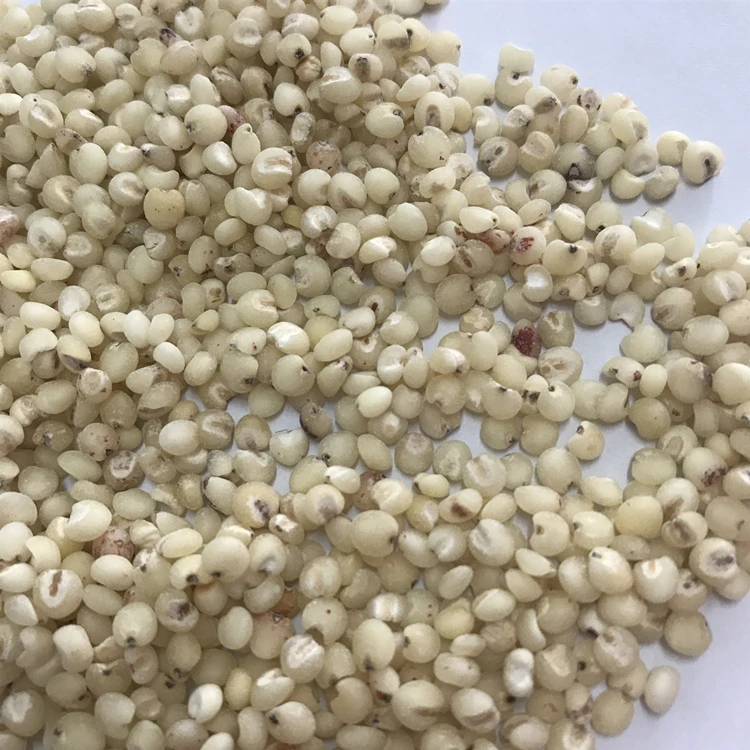 Распродажа 100% сушеные органические зерна белого сорго очень дешево для продажи