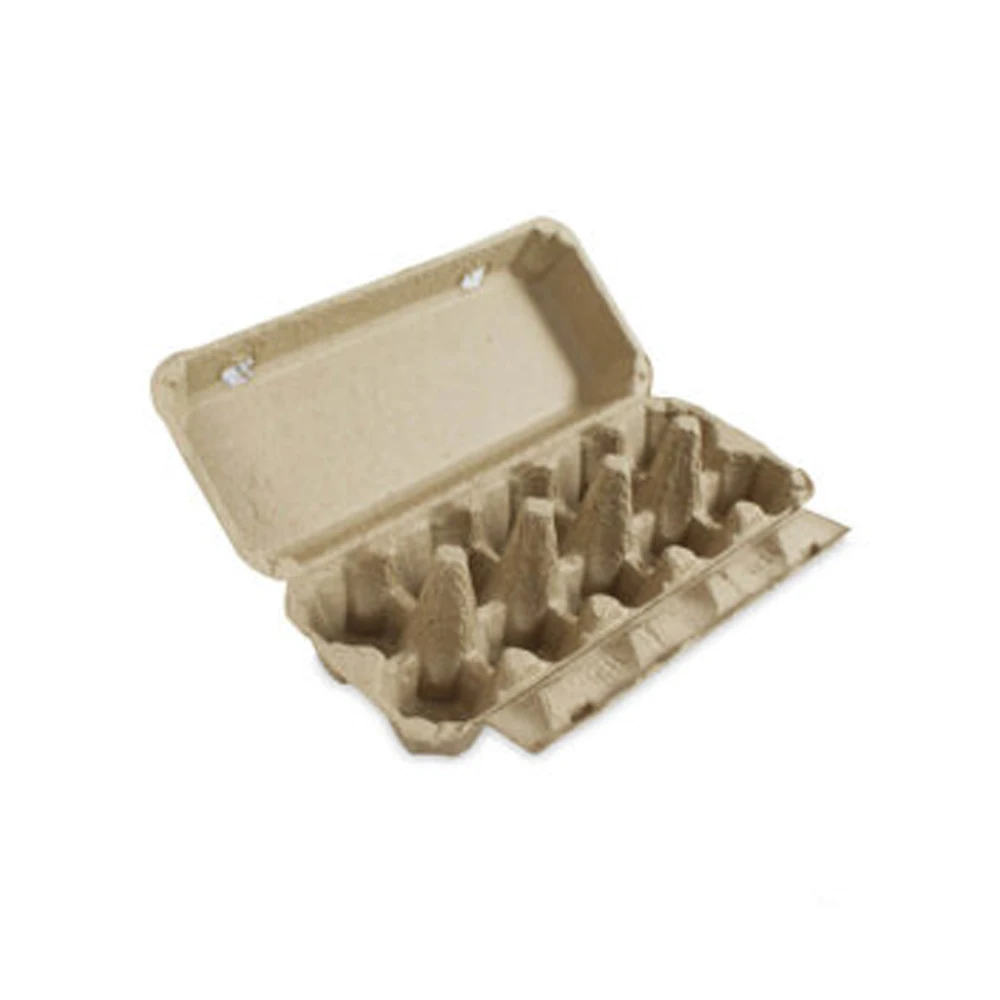 Egg Carton Paper Pulp Egg Tray From Thailand