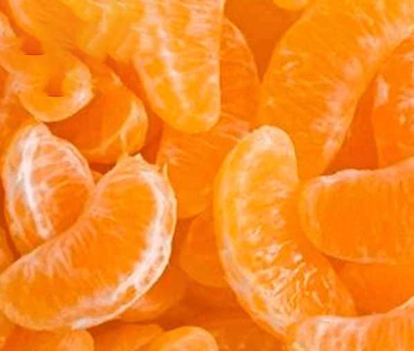 sweet kinnow mandarin citrus fruit from Pakistan Bulk Price