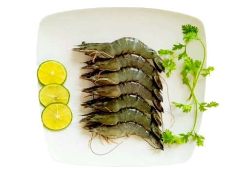 High Quality Frozen Fresh Black Tiger Shrimp HOSO at Competitive Price from Vietnam