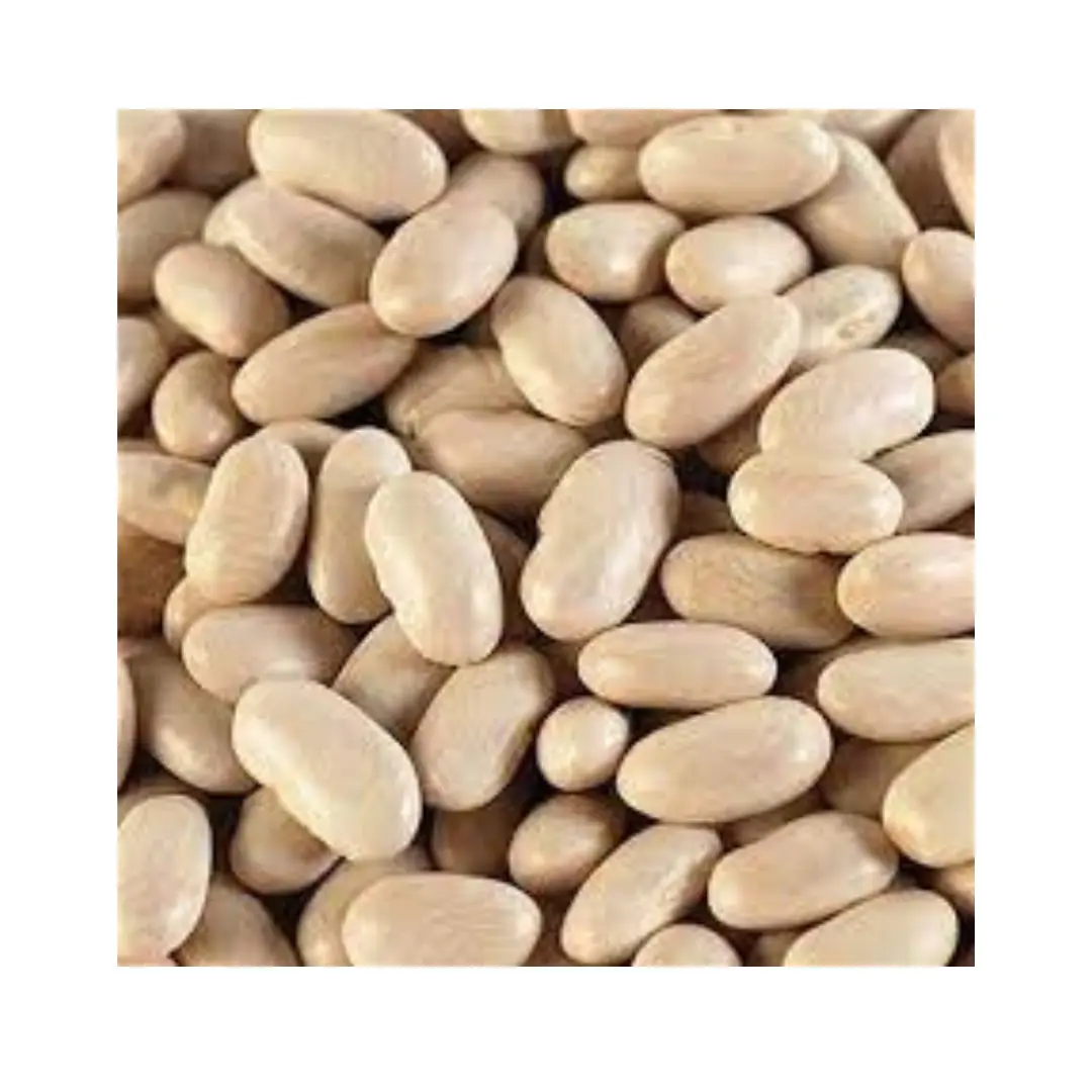 HIGH QUALITY MADE IN ITALY FOOD LEGUMES IDEAL FOR SALAD ORGANIC DRIED CANNELLINI BEANS IN BIG BAG