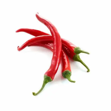 100% natural Fresh Red Chili Available