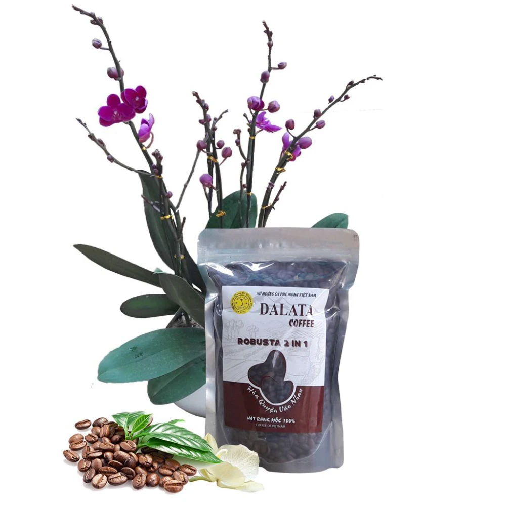 With 100% Best Roasted Coffee Beans Top Recommend The High Roasted Robusta Coffee 500g For One Bag