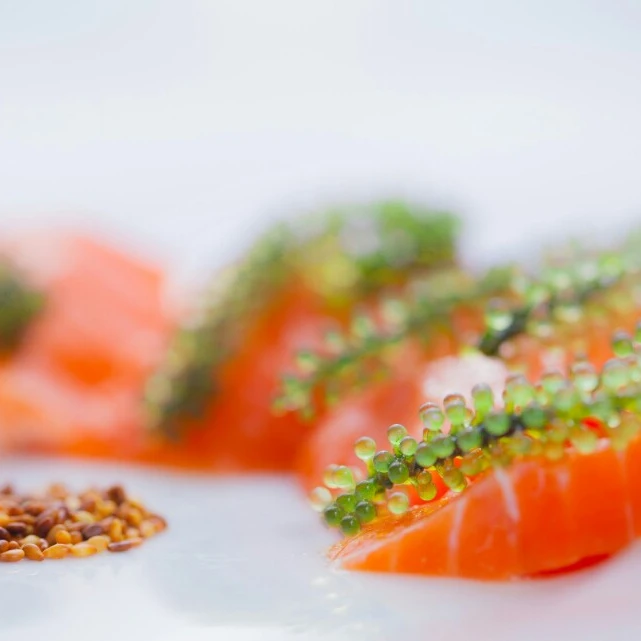 
NEW SEASON GREEN CARVIAR /FRESH SEAGRAPE / SEAGRAPE FROM VIETNAM 