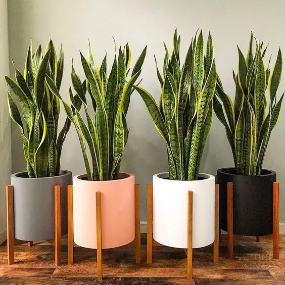 Fast Delivery Modern Adjustable Wooden Plant Stand Garden Planter Flower Pots Stand