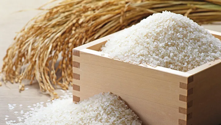 Лидер продаж рис Japonica Вьетнам Круглый рисовый богатый белок японский с коротким зерном для приготовления пищи