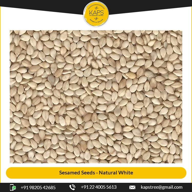 Wholesale Supplier of White Sesame for Global Buyers