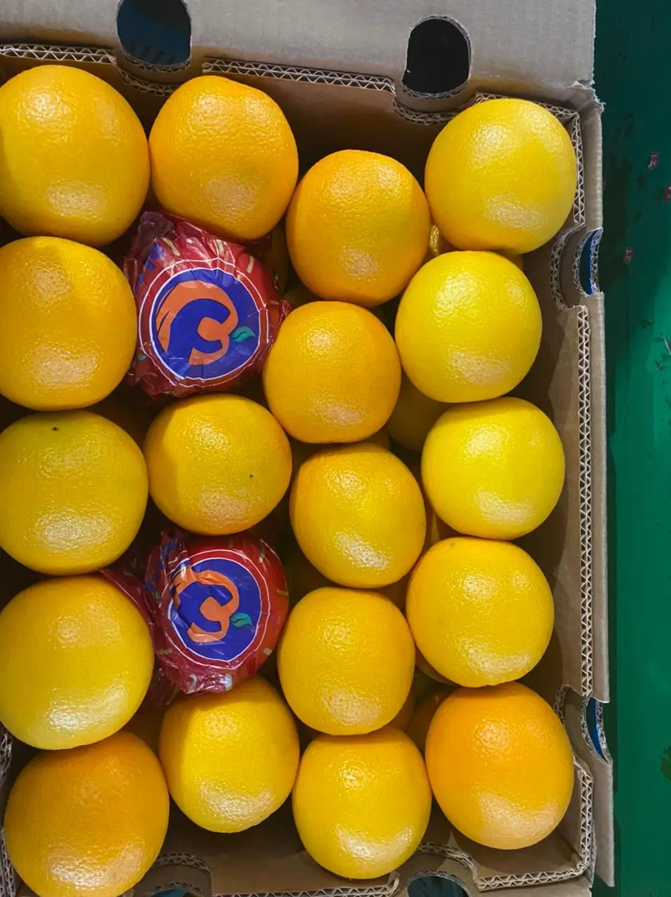 Fresh Valencia orange готова к экспорту сезон 2022 во