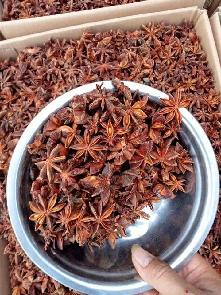 VIET NAM STAR ANISE GOOD QUALITY BEST PRICE FROM MANUFACTURER Ms Lynn +84 333 421 999