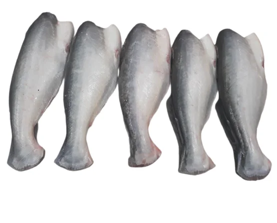 Frozen Pangasius HGT/Basa/Pangasius Hypophthalmus Origin VietNam