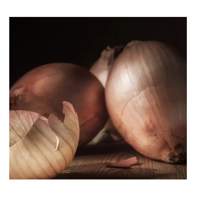 100% органический и свежий лук в индивидуальной упаковке по низкой цене