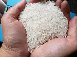 New Arrival High Quality Export DAI THOM 8 (DT8) 100% Long Grain White Rice with Best Price made in Viet Nam