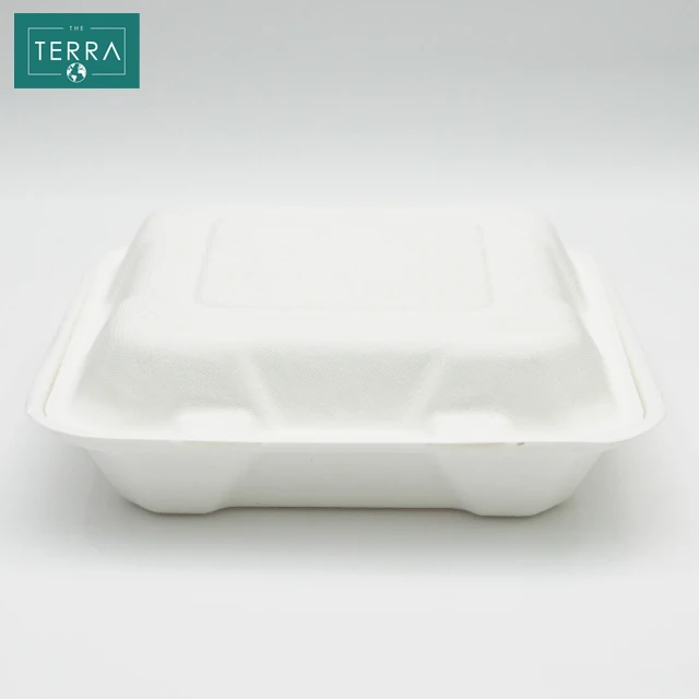 Vietnam 405*196*42.5 mm Biodegradable Packaging Food White Surgarcane Bagasse Pulp Molding 8 in clamshell