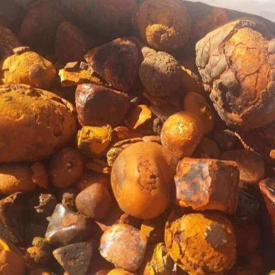 Ox Gallstones/ Cattle Gallstones /Cow Gallstones