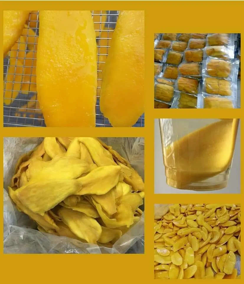 Best Selling Sweet Dried Mango in bulk | Snack Dried Sweet Fruit Asian|  Ms. Esther (WhatsApp: +84 963590549)