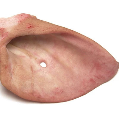 Frozen Pork Ears with Shells