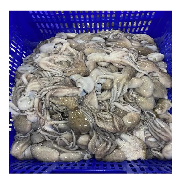 Block frozen Octopus whole from India