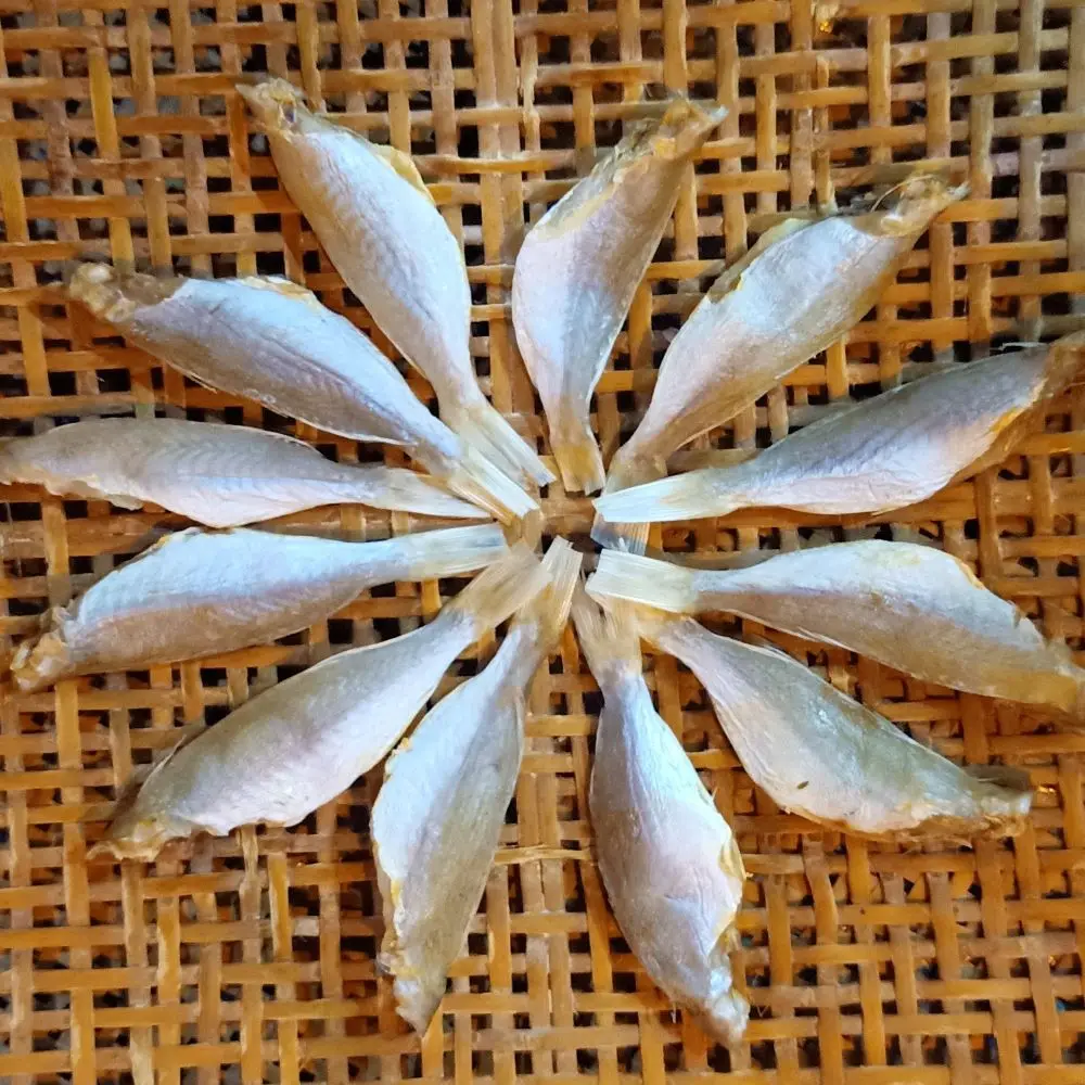 Nemipterus Japonicus Vietnam Dried Seafood Threadfin Bream Nemipterus Japonicus