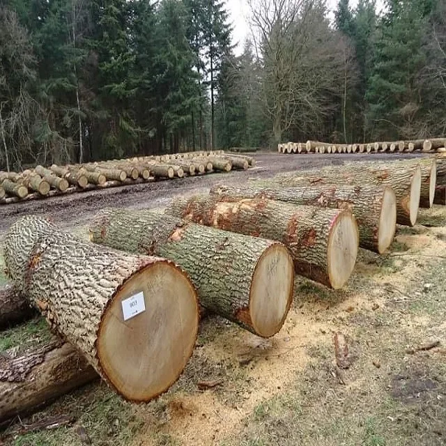 Redwood Wood Round Logs Peeled Logs and poles