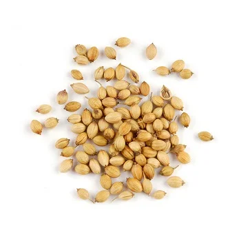 Top Quality Guar Seeds Grade Seeding Bulk Sale