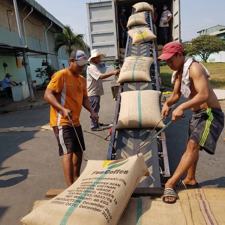 ROBUSTA COFFEE BEANS