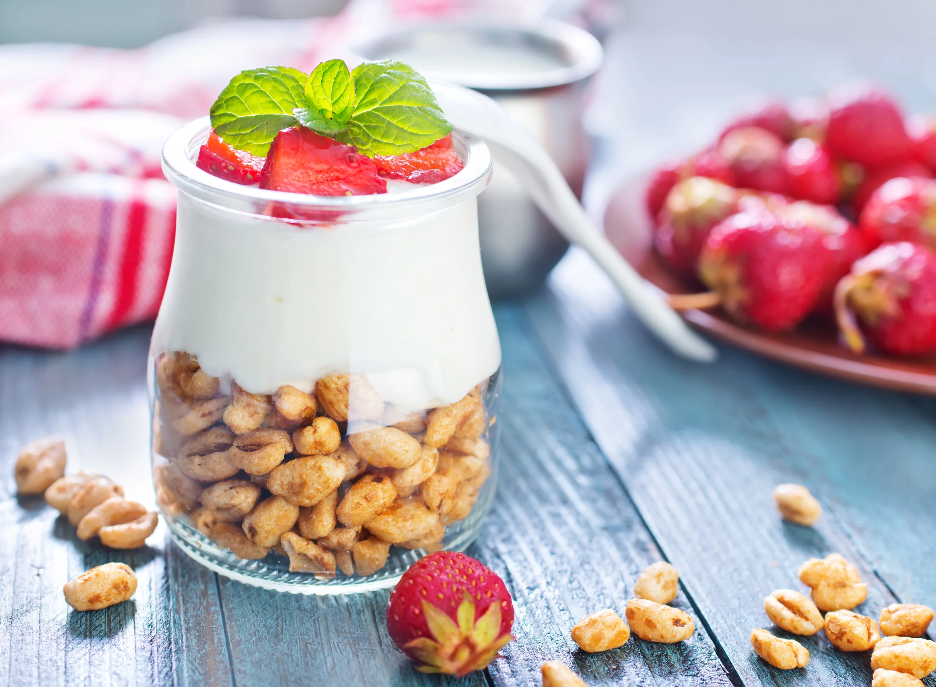 Hot Sell Special Tasty Yogurt Flavor Powder