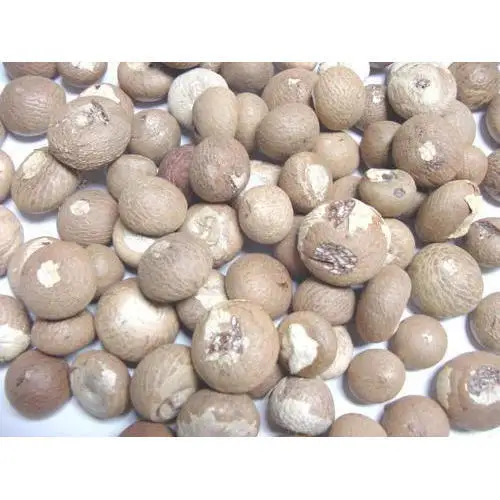 WHOLE BETEL NUT for SALE-BEST PRICE KENYA WHOLE BETEL NUT for SALE-BEST