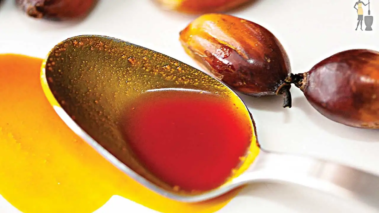 Buy Premium Refined Vegetable Oil 750ml 1L 2L 3L 5L 10L 20L at Affordable Price .