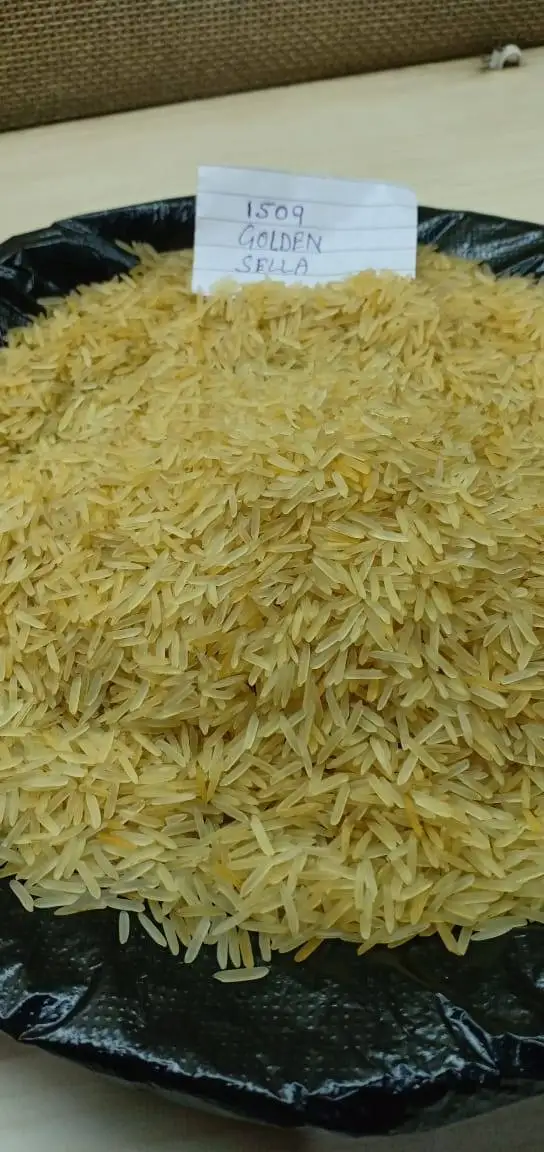 Golden rice.jpg