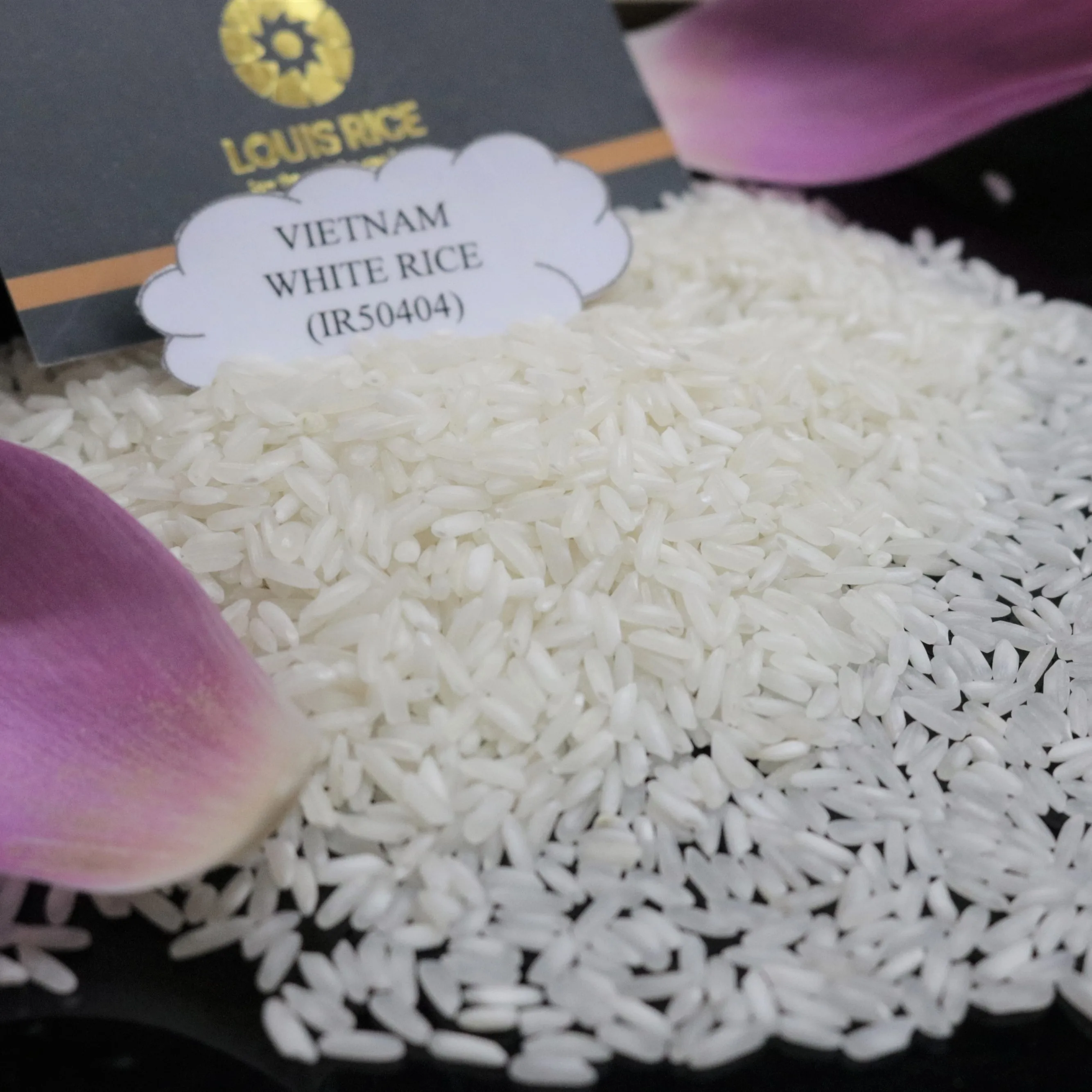 Cheap price vietnam white rice 5% broken MR. WAYNE (Whatsapp: +84909077813)