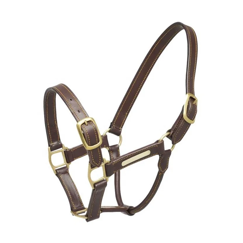 Rainbow Arabian Horse Leather Halter Suppliers