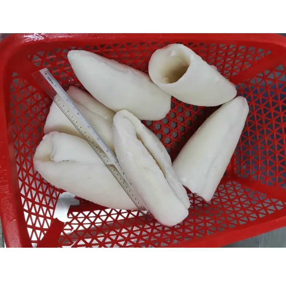2 Years Shelf Life Good Quality Fresh Frozen Whole Cleaned Cuttlefish Roll From Malaysia