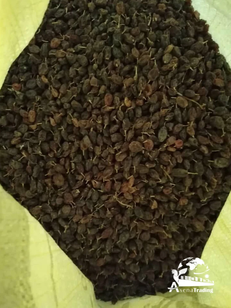 Top Quality raisin/currant red green black gold wholesale healthy food hot product
