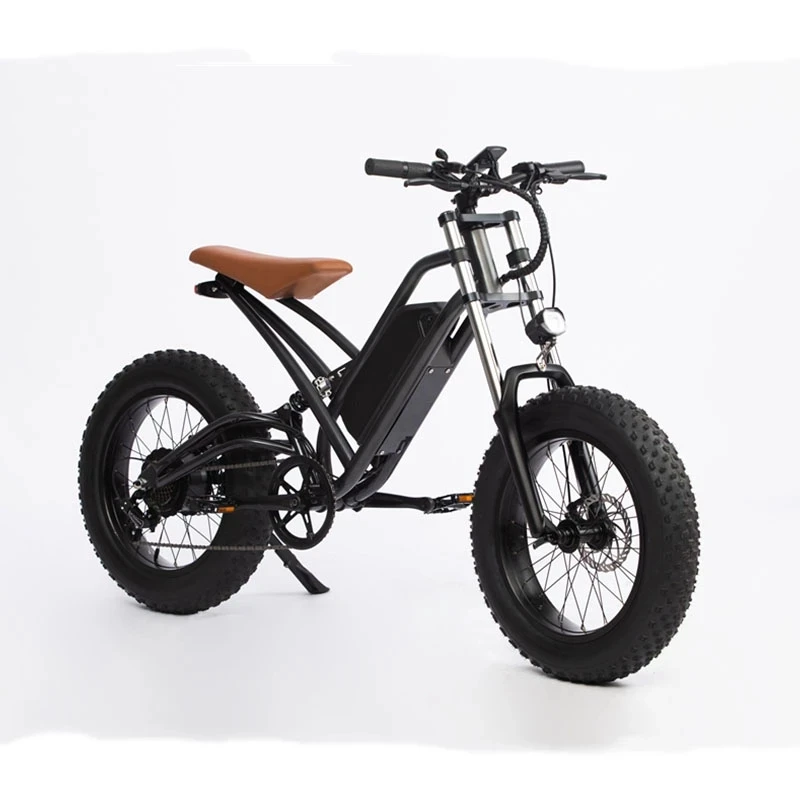 Hot sale 20 Inch Fat Tire Electric Bicycle Electric Mountain Bike  E-bike Electric Scooter With 36V 48V 13AH 350W500W750W Motor