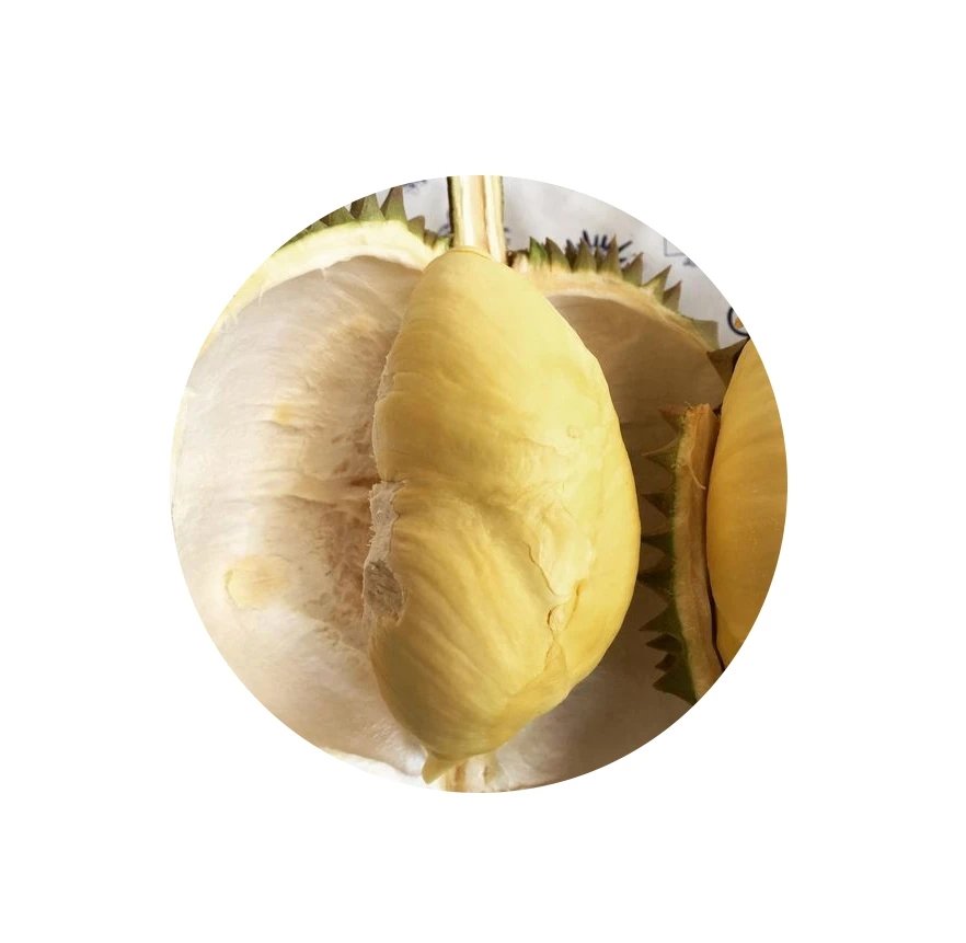 Durian monthong from Thailand order for new season 2022 durian fruits book now get best price durian