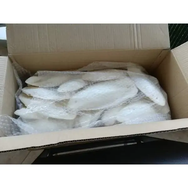 Dried Cuttlefish Bone Stock