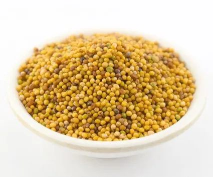 China supplier wholesale directory sell the high quality  mustard seeds with low price.