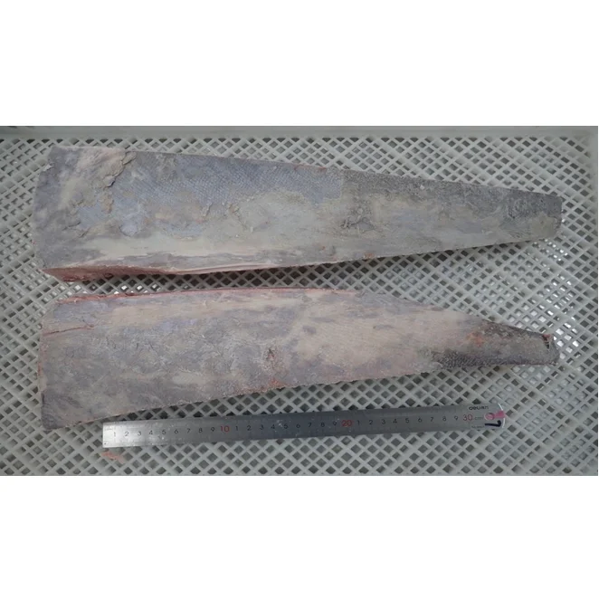 Skin-on Low-Sugar Frozen Yellowfin Tuna Belly In Vacuum Pack Packaging From Singapore