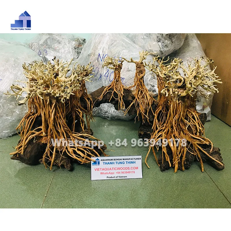 Hot items 2024 Large Bonsai driftwood for aquarium decoration Fish Tank Accessories WhatsApp: +84 961005832