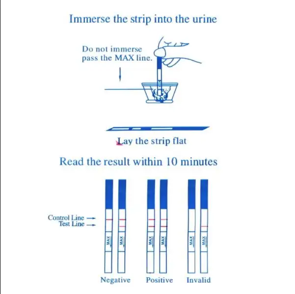 Early High Accuracy Pregnancy Test Strip Test Kit