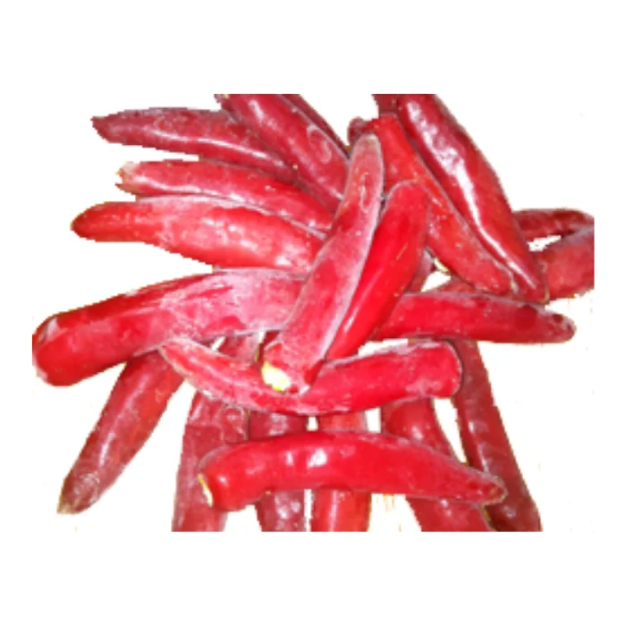 Frozen chili high quality from Vietnam cheap wholesale Chili red frozen Available in bulk