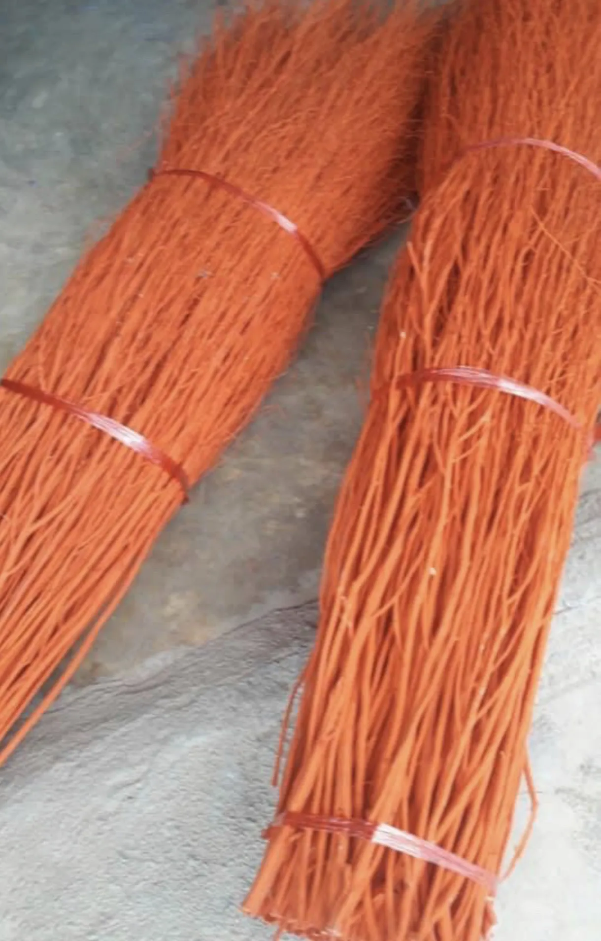 New Dye branch Design From Thailand