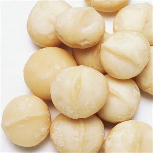 macadamia nuts Factory South Africa Premium Roasted Blanched Kernel shell unshelled macadamia nuts Netherlands Rome Italy