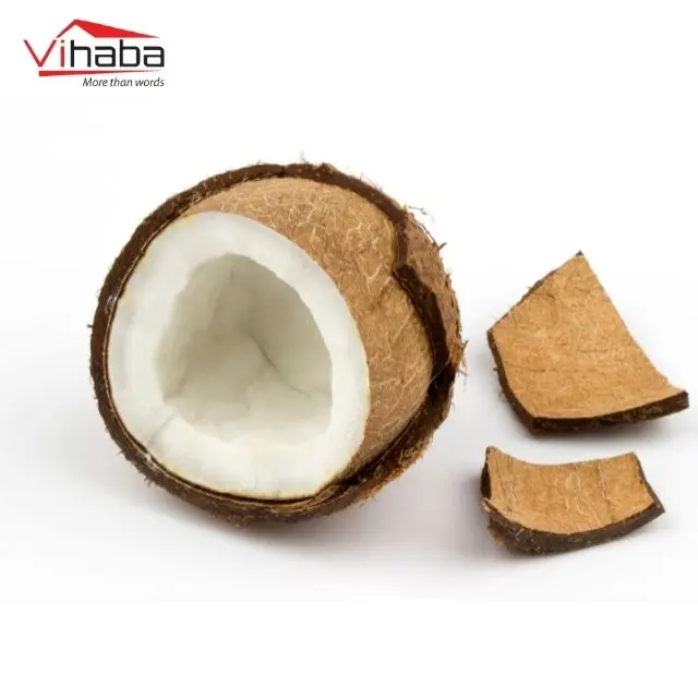 Export desicated coconut organic coconut snacks food mature coconut
